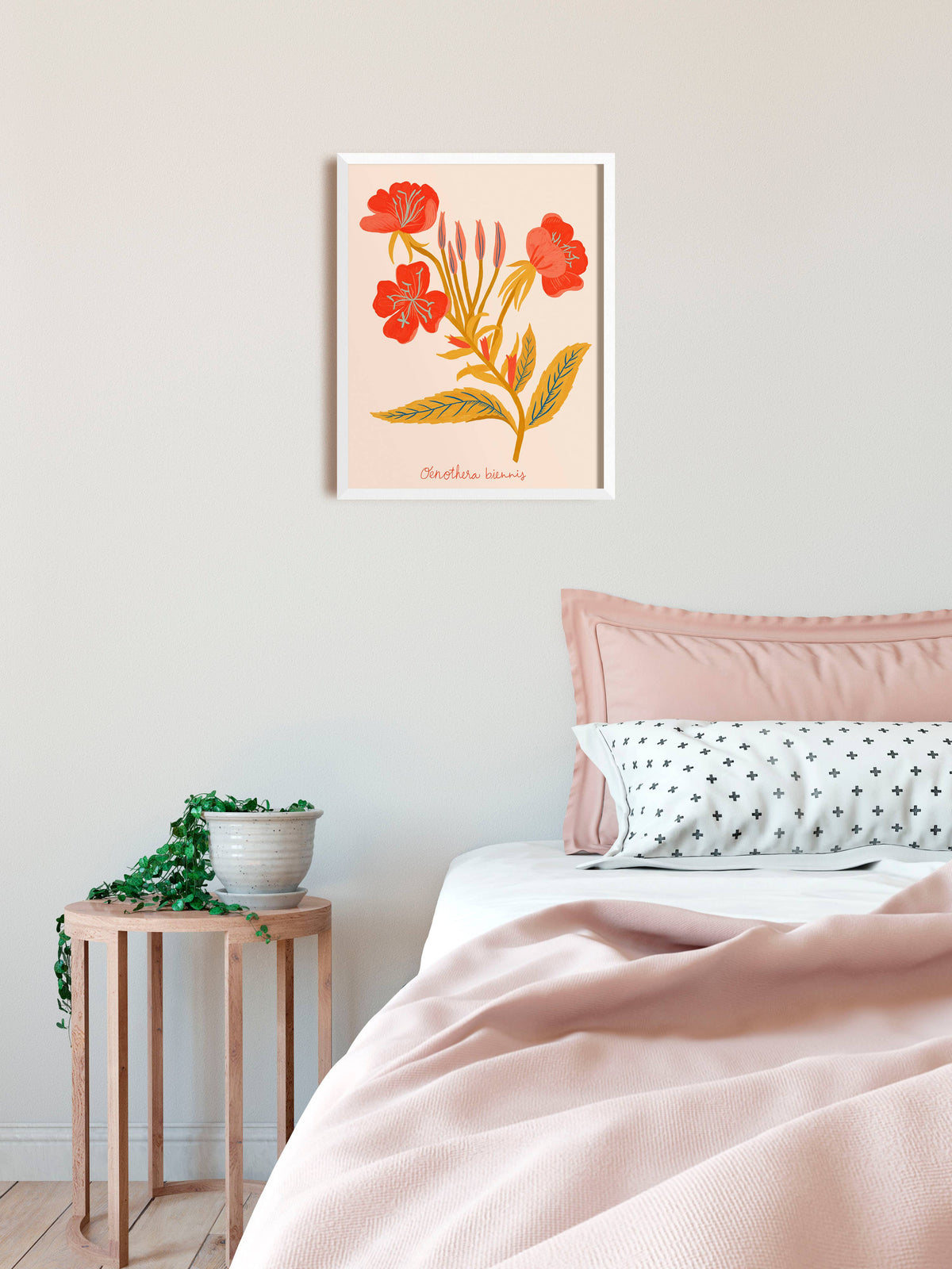 Red Evening Primrose Art Print - Botanical Illustration