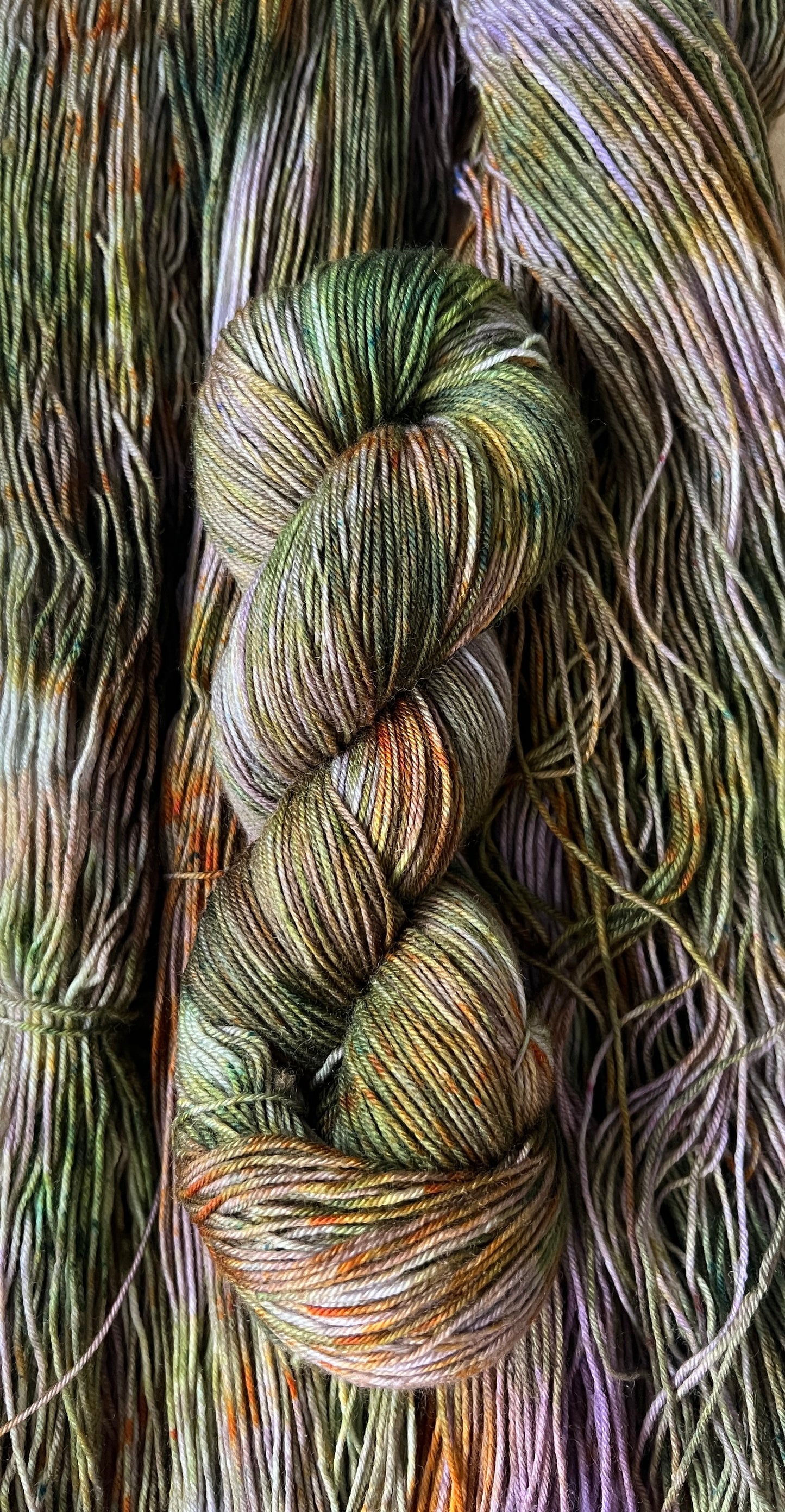 Wetlands Hand Dyed Yarn