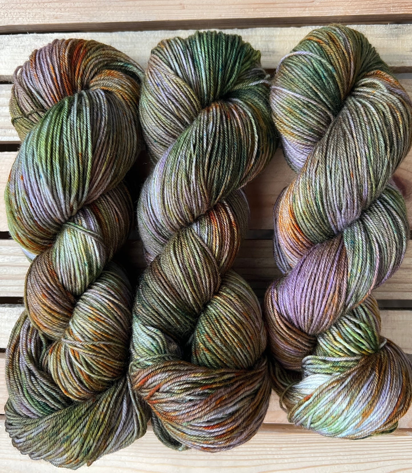 Wetlands Hand Dyed Yarn