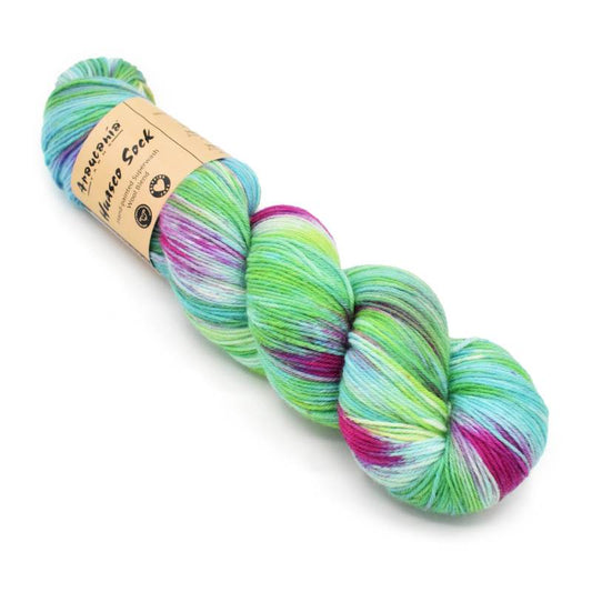 Huasco Hand Painted Sock Yarn