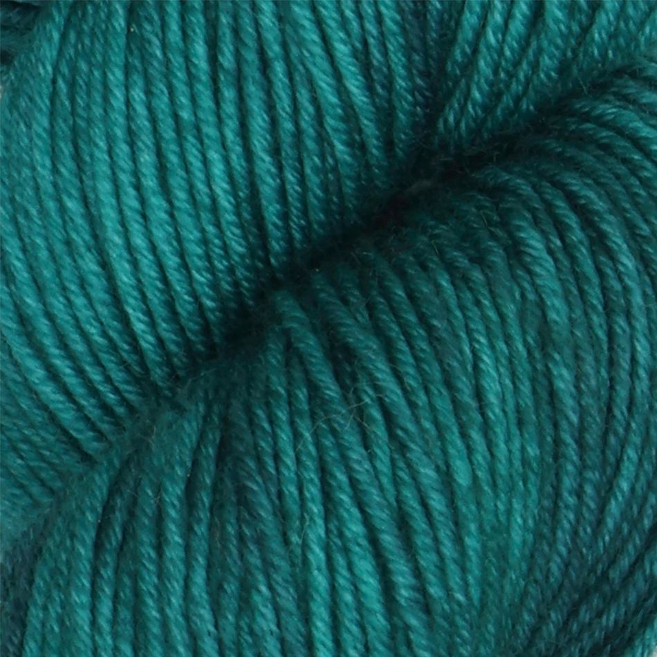 Symfonie Hand Dyed Yarn - Bella Worsted