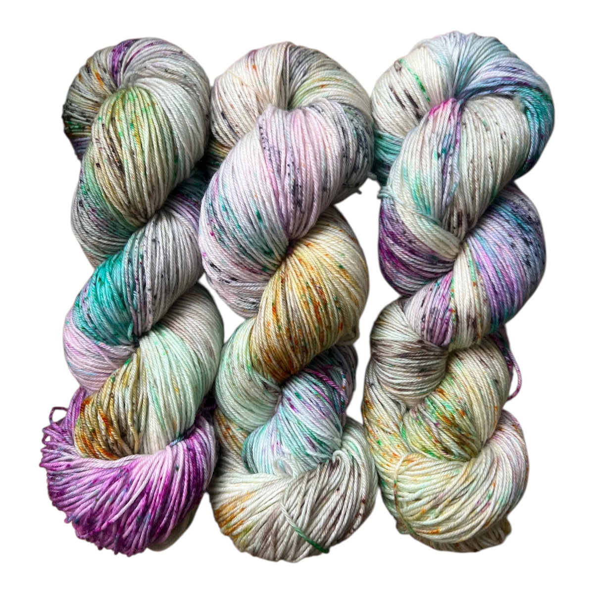 Pet Chicken Hand Dyed Yarn