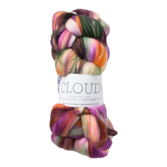 Malabrigo Cloud Eternidad Roving